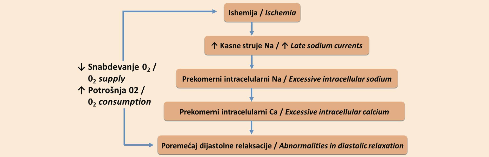 Slika 3. Patofiziologija miokardne hipoperfuzije