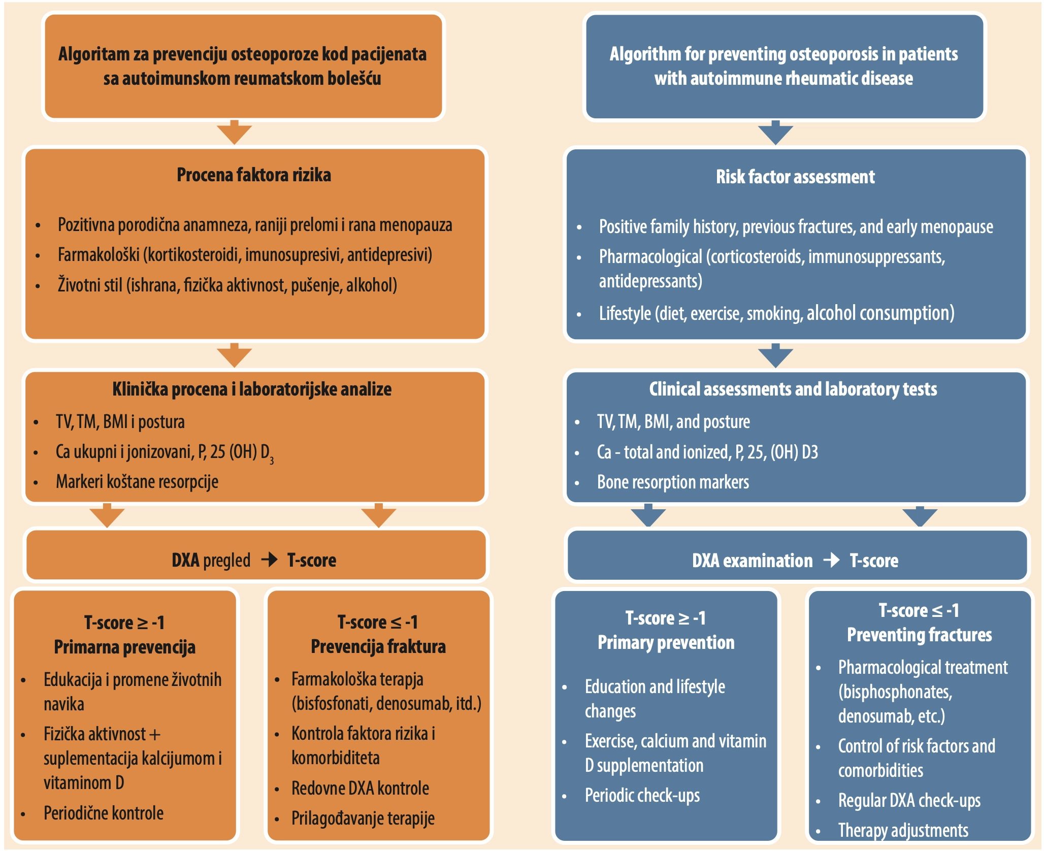 Slika 1. Algoritam za pristup pacijentu sa povišenim rizikom od nastanka osteoporoze [<a href=